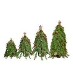 CÂY THÔNG XANH BẮC ÂU