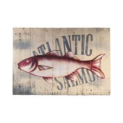 ATLANTIC SALMON - CÁ NGỪ ĐẠI TÂY DƯƠNG