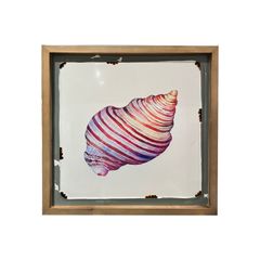 KHUNG TRANH TRANG TRÍ - HÌNH CON ỐC