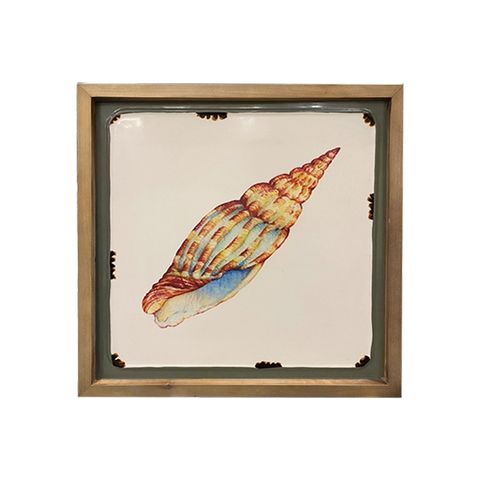 KHUNG TRANH TRANG TRÍ - HÌNH CON ỐC