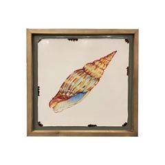 KHUNG TRANH TRANG TRÍ - HÌNH CON ỐC