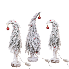 CÂY THÔNG PHỦ TUYẾT TRẮNG BẮC ÂU