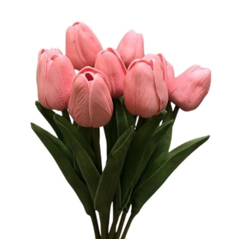 BÔNG TULIP HỒNG ĐẬM