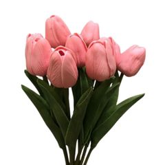 BÔNG TULIP HỒNG ĐẬM