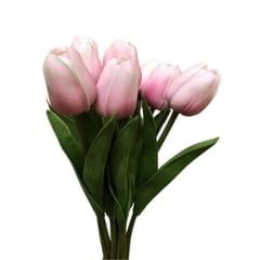 BÔNG TULIP HỒNG NHẠT