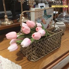 BÔNG TULIP HỒNG NHẠT