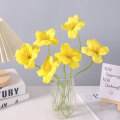 BÔNG TULIP VÀNG