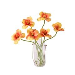 BÔNG TULIP CAM