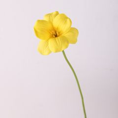 BÔNG TULIP VÀNG