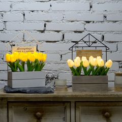 ĐÈN TRANG TRÍ BỒN CÂY HOA TULIP MÀU VÀNG