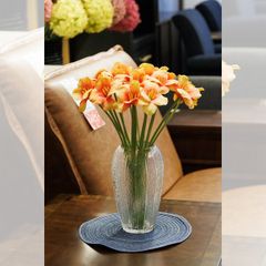 BÔNG TULIP CAM