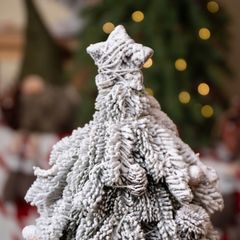 CÂY THÔNG PHỦ TUYẾT BẮC ÂU