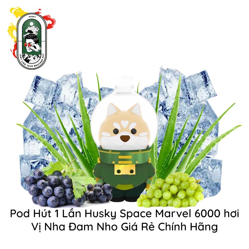  Pod 1 Lần Husky Space Marvel 6000 Hơi Nha Đam Nho Sạc Lại Giá Rẻ Chính Hãng 