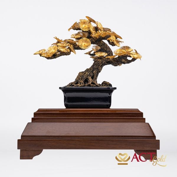 Quà tặng Tùng La Hán dát vàng 24k ACT GOLD ISO 9001:2015 (Mẫu 4)