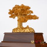 Quà tặng Tùng La Hán dát vàng 24k ACT GOLD ISO 9001:2015 (Mẫu 5)