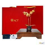 Quà tặng Chậu Lan 2 Cành dát vàng 24k ACT GOLD ISO 9001:2015