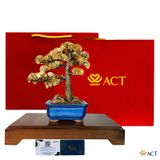 Quà tặng Tùng La Hán dát vàng 24k ACT GOLD ISO 9001:2015 (Mẫu 1)