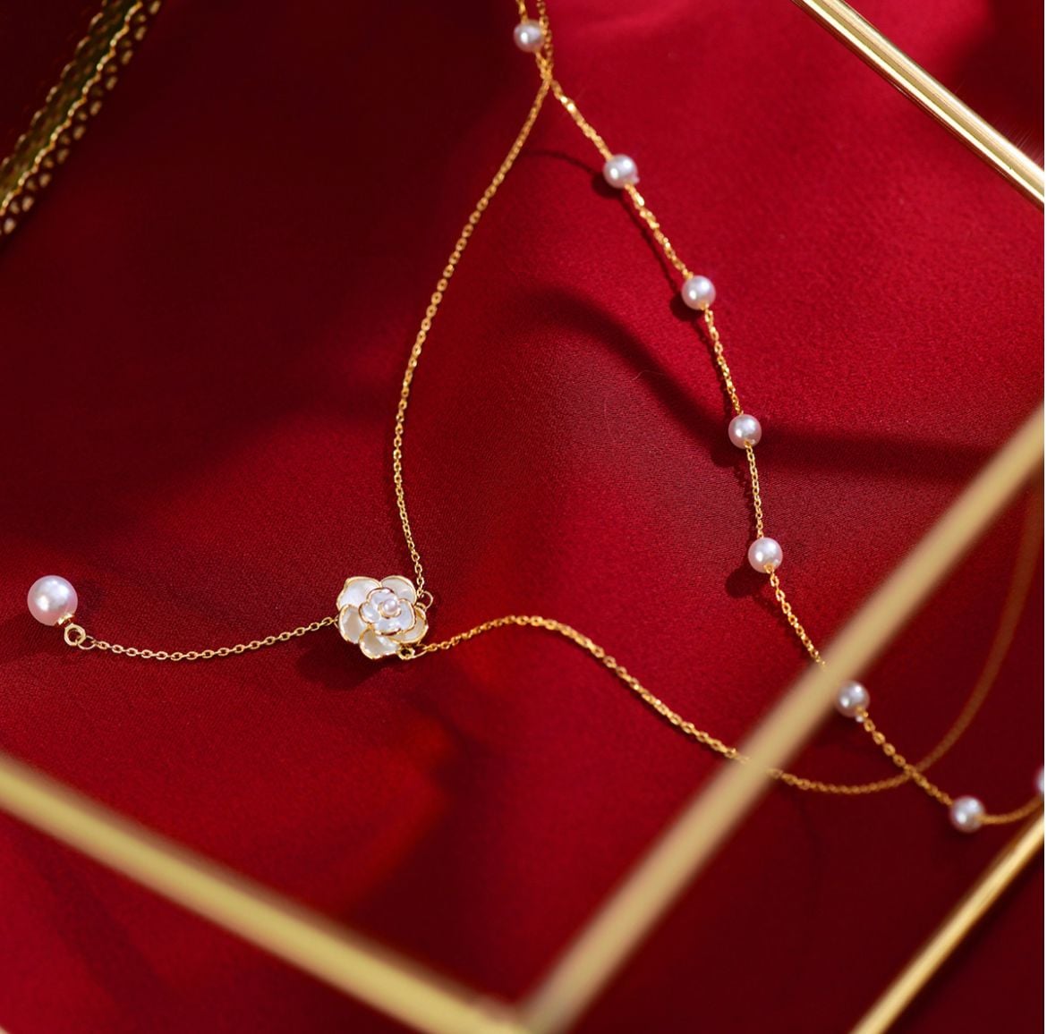  Dây Chuyền Taylor 