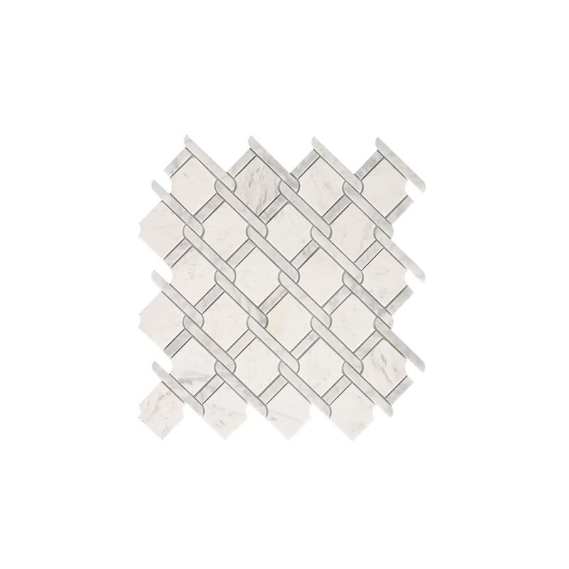 Gạch mosaic MSI005