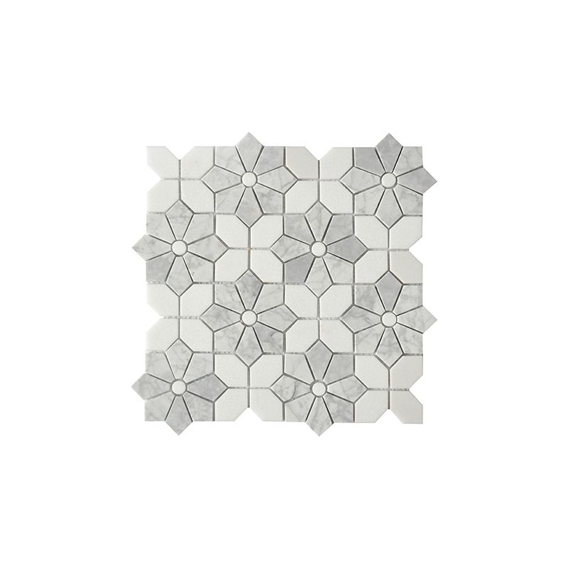 Gạch mosaic MSI025