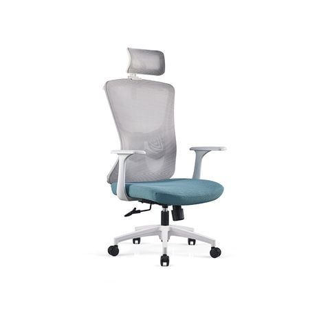  Ergonomic Office Chair RX1019 