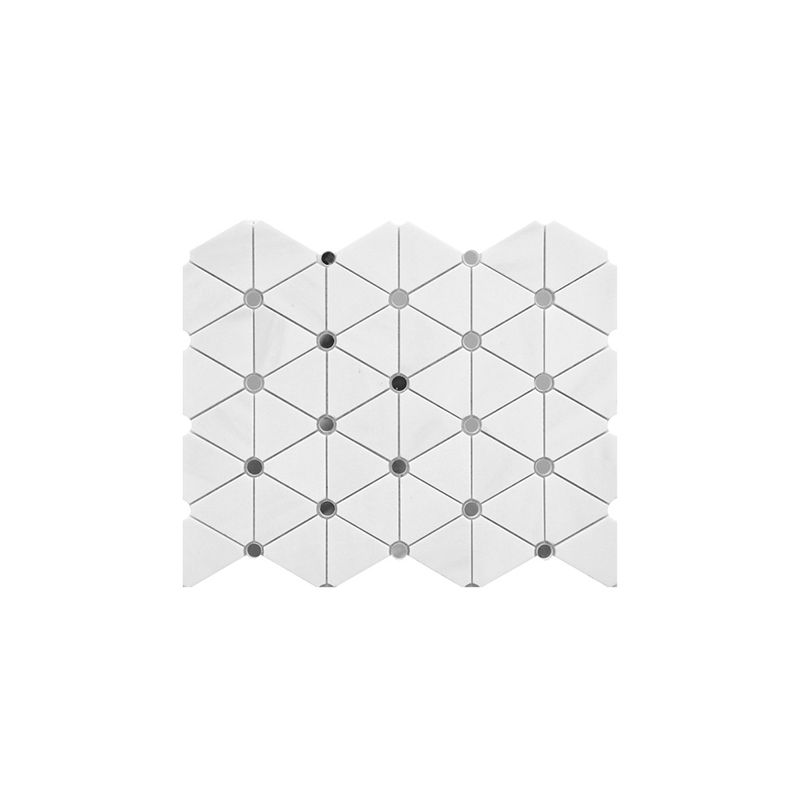 Gạch mosaic MSI023