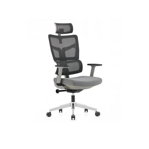  Ergonomic Office Chair RX2203 
