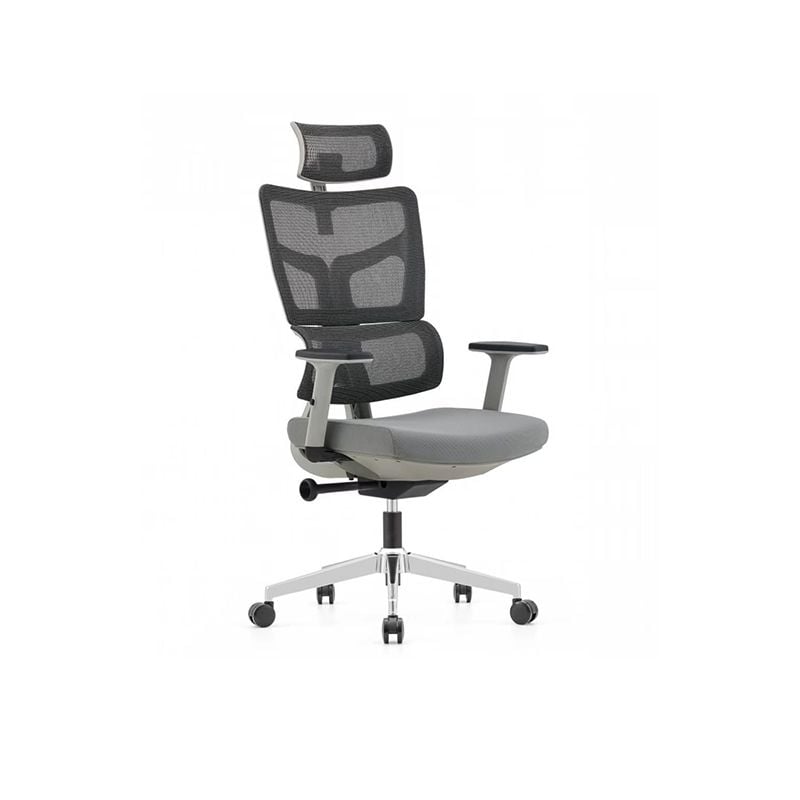Ergonomic Office Chair RX2203