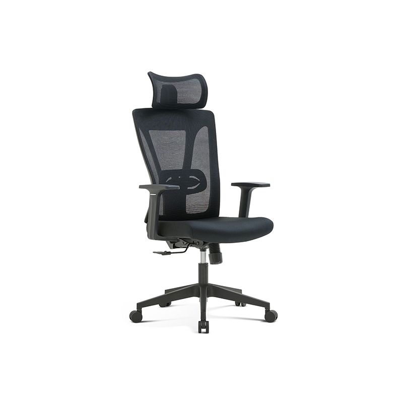 Ergonomic Office Chair RX208