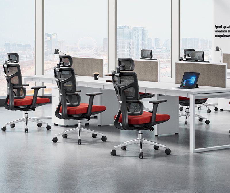 Ergonomic Office Chair RX2203