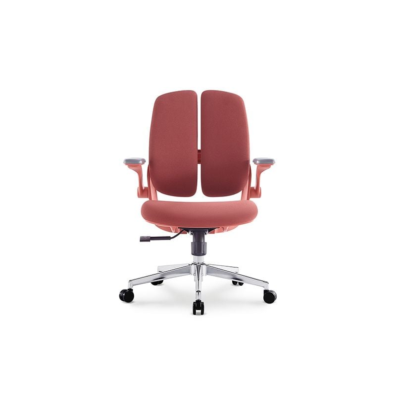 Ergonomic Office Chair  RX7211