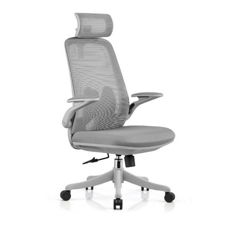 Ergonomic Office Chair  RX1092