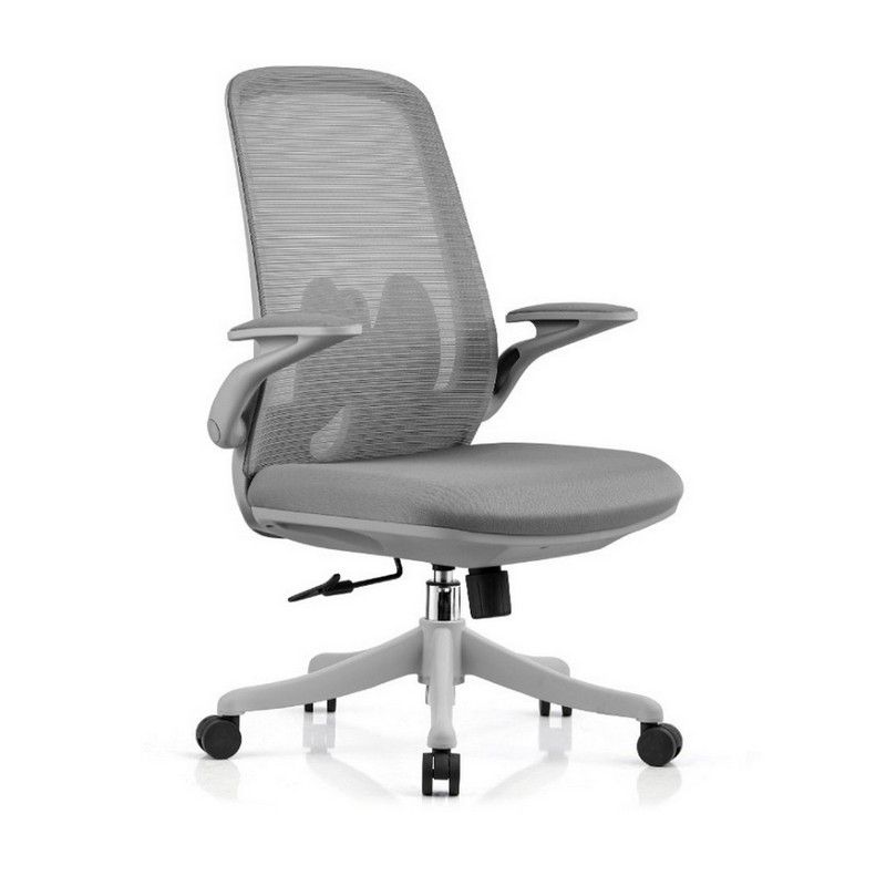 Ergonomic Office Chair  RX1092
