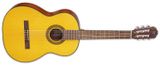  Takamine Đàn Guitar Acoustic GC1 