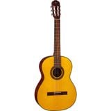  Takamine Đàn Guitar Acoustic GC1 