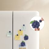  Nam châm hít tủ lạnh hình chùm nho FSLDZ-640 