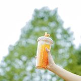  Donut series - Ly có ống hút FSLSH-224 