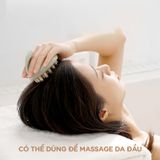  Lược massage gội đầu FSLZF-059 