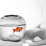  [FaSoLa] Bình thủy tinh thủ công Yên Vũ Sa Châu màu xám khói FSLFL-159 