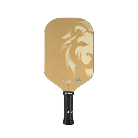VỢT PICKLEBALL JOOLA TYSON MCGUFFIN MAGNUS CAS 14 ĐEN