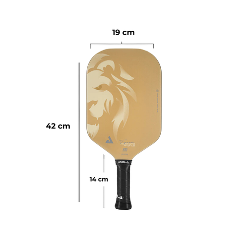 VỢT PICKLEBALL JOOLA TYSON MCGUFFIN MAGNUS CAS 14 ĐEN