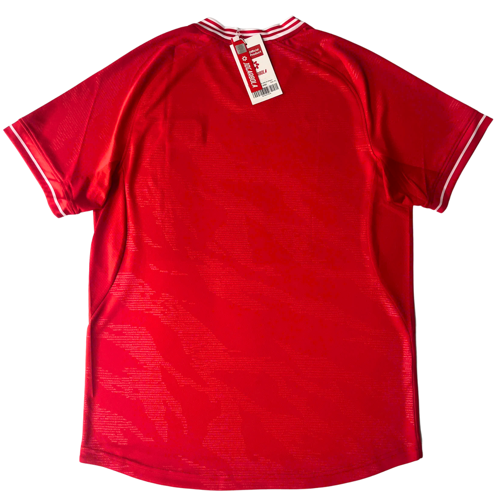 ÁO ĐẤU ĐỘI TUYỂN VIỆT NAM 2024 CHÍNH HÃNG SÂN NHÀ PLAYER ĐỎ