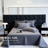  Set Chăn Ga Tencel 120s - 5 MÓN - GA TRẦN PHỦ - MÀU 1 
