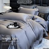  Set Chăn Ga Tencel 120s - 5 MÓN - GA TRẦN PHỦ - MÀU 1 