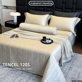  Set Chăn Ga Tencel 120s - 5 MÓN - GA TRẦN PHỦ - MÀU 3 