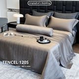  Set Chăn Ga Tencel 120s - 5 MÓN - GA TRẦN PHỦ - MÀU 4 