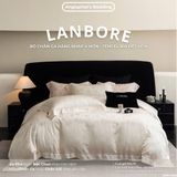  Set Chăn Ga Tencel 80s Dệt Hoa - Lanbore Tulip Kem 