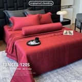  Set Chăn Ga Tencel 120s - 5 MÓN - GA TRẦN PHỦ - MÀU 6 
