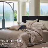  Set Chăn Ga Tencel Tơ Tằm COLOGNE - Kem Đồng 
