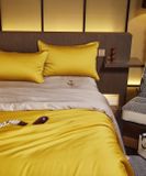 Bộ Chăn Ga Tencel 80S Freemonde Phối Vàng - Ghi 